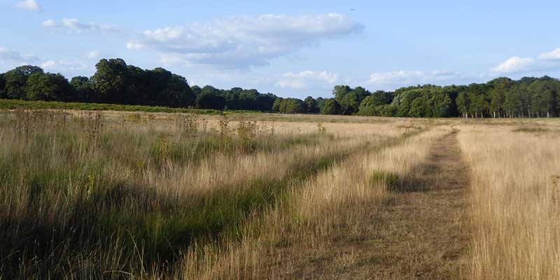 Drought Hits Rainy England