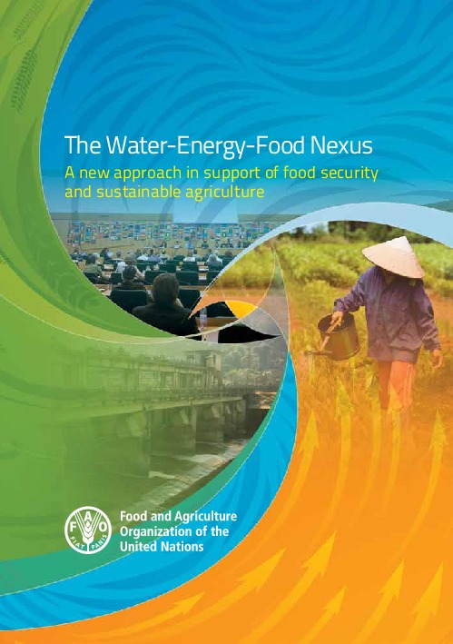 The Water-Energy-Food Nexus