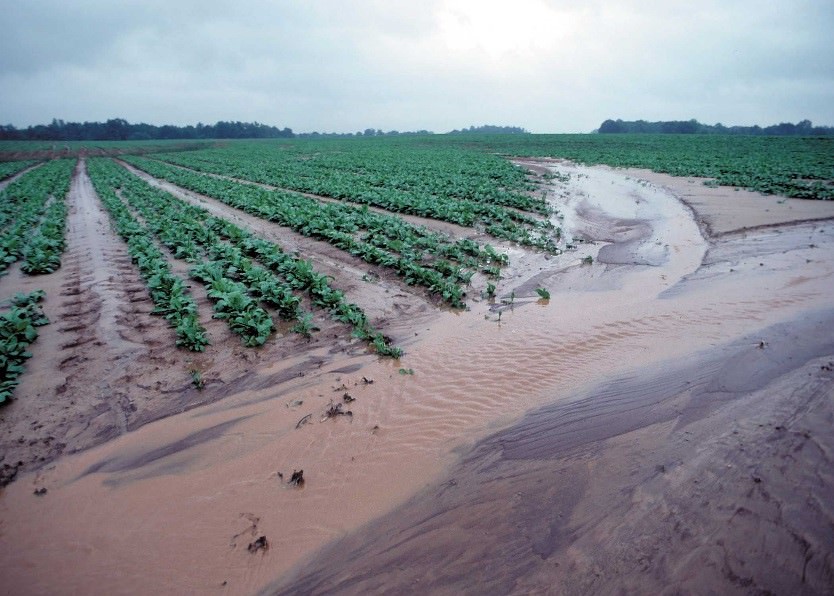 When Yesterday's Agriculture Feeds Today's Water Pollution