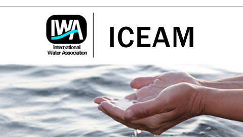 ICEAM 2013