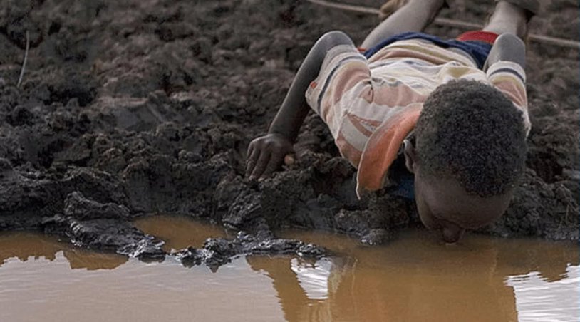 Good day, do you see this photo? I will explain. The shore is pitted with animal hooves, and this boy is most likely already infected with Taeni...