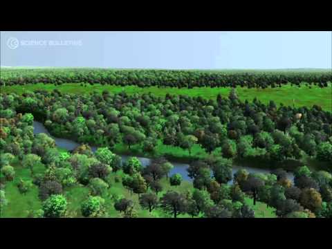 River restoration of the Bronx river in New york- A polluted city river transformed!!