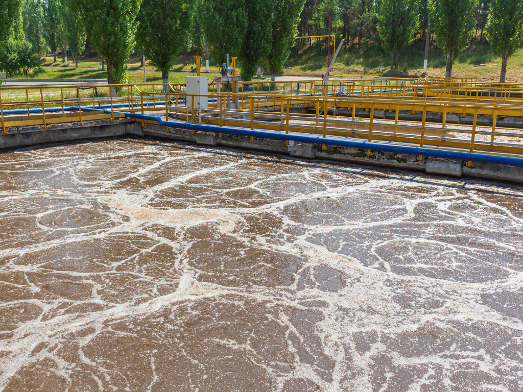 https://www.teamonebiotech.com/blog/impact-of-ineffective-biomass-in-a-wastewater-treatment-plant/