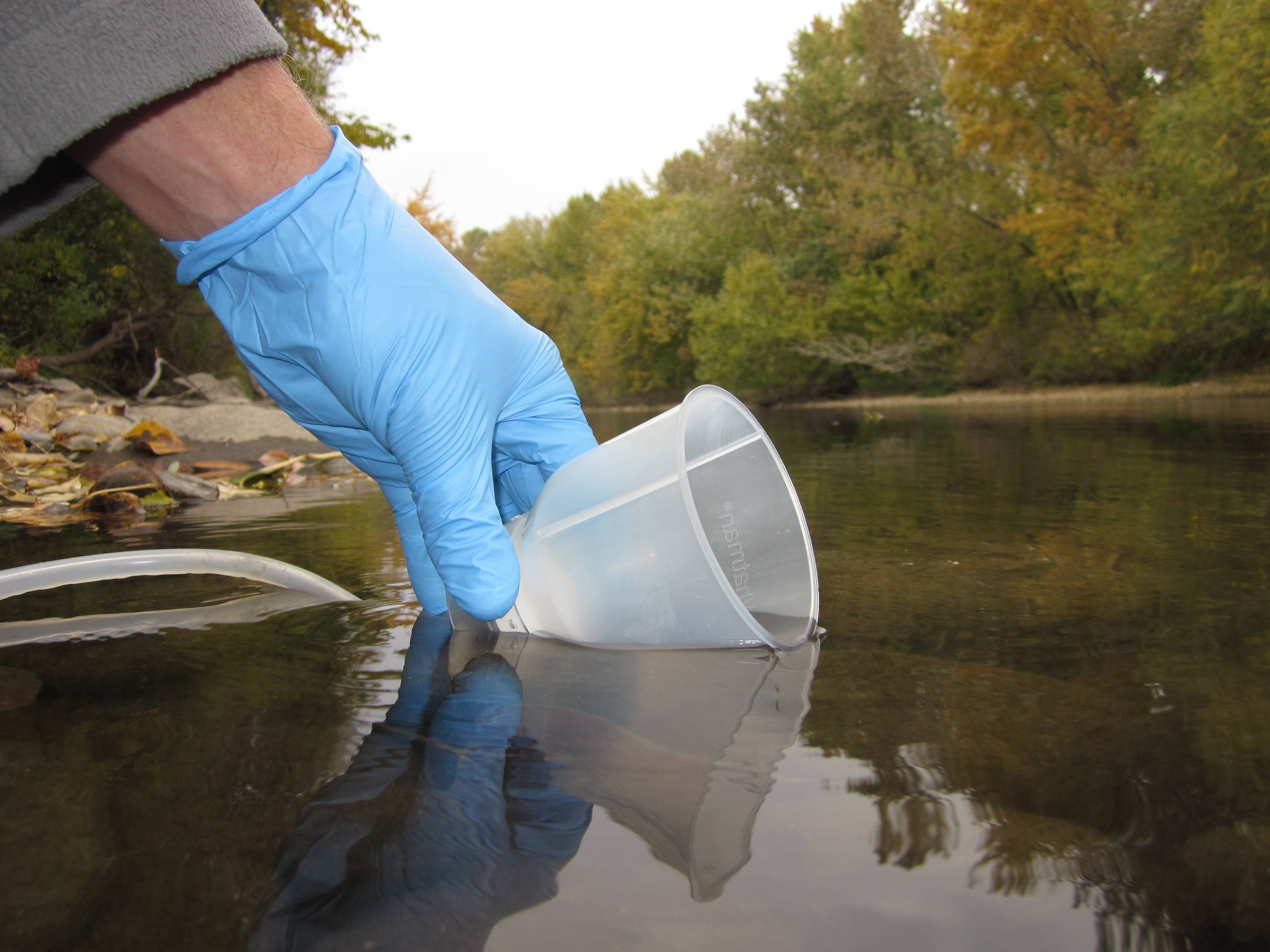 eDNA is ​Fostering a New ​Kind of Fish ​Biology