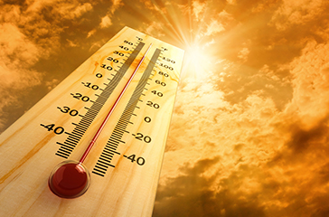 80% of Earth's Ecological Processes Hit by Climate Change