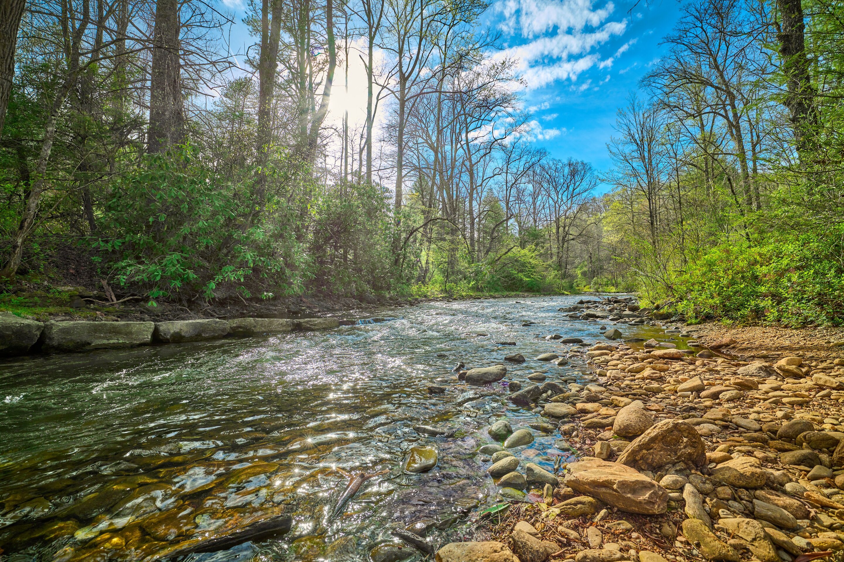 A machine learning approach to freshwater analysisFrom protecting biodiversity to ensuring the safety of drinking water, the biochemical makeup ...