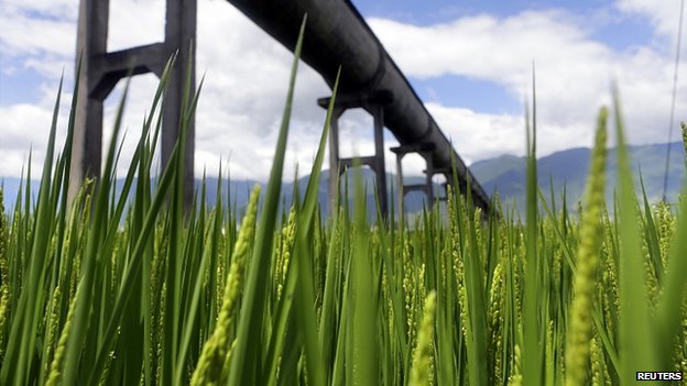 Growing pains of China's agricultural water needs