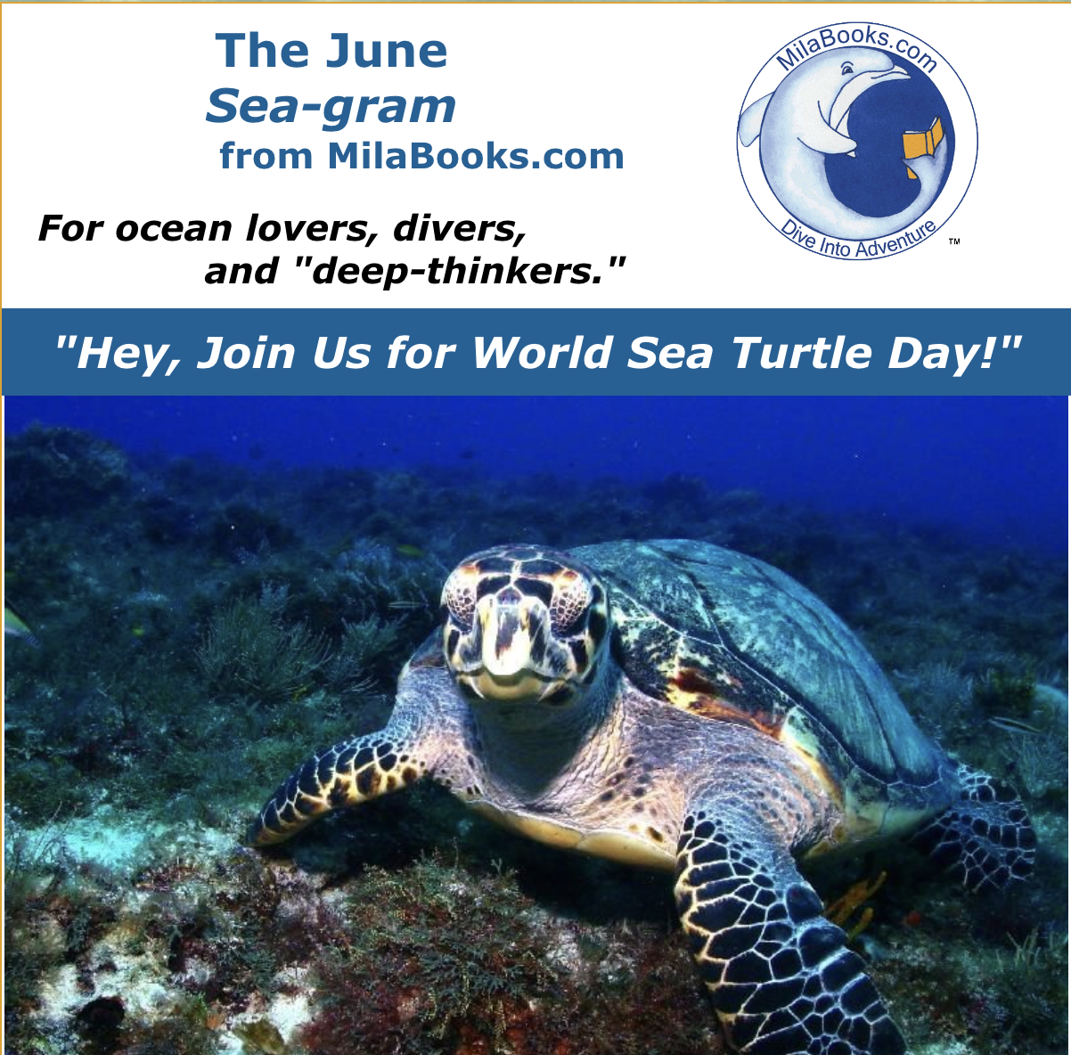 Harry Hawksbill & his sea turtle friends invite you to celebrate World Sea Turtle Day --June 16th!https://conta.cc/45pYddn
