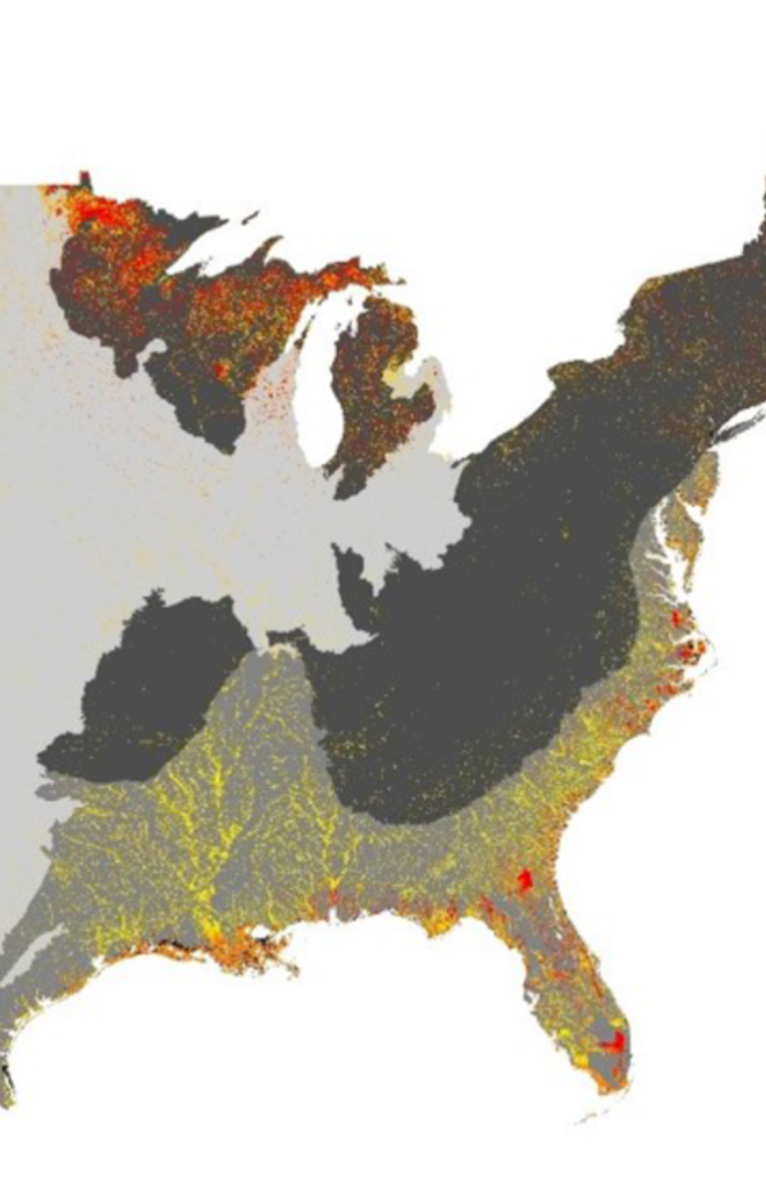 National Maps of Carbon Storage in Wetland Soils