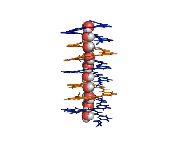 Membrane Transport, A Molecular Straw