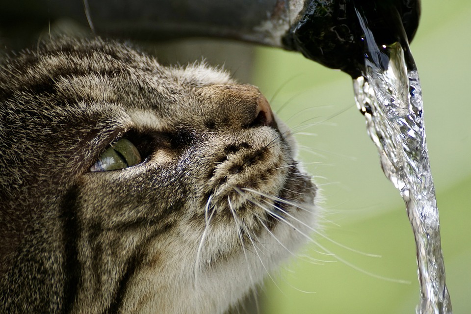 Welsh Water Launches Free & Confidential Pesticide Disposal Scheme to Protect Drinking Water Quality