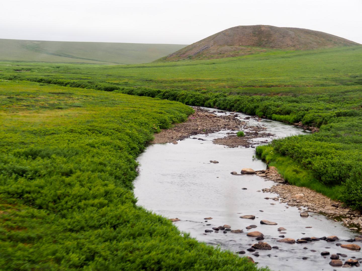 Aerial Imagery ​Gives Insight ​into Water ​Trends ​