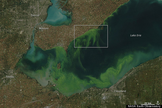 Ohio plan to cut Lake Erie Algae