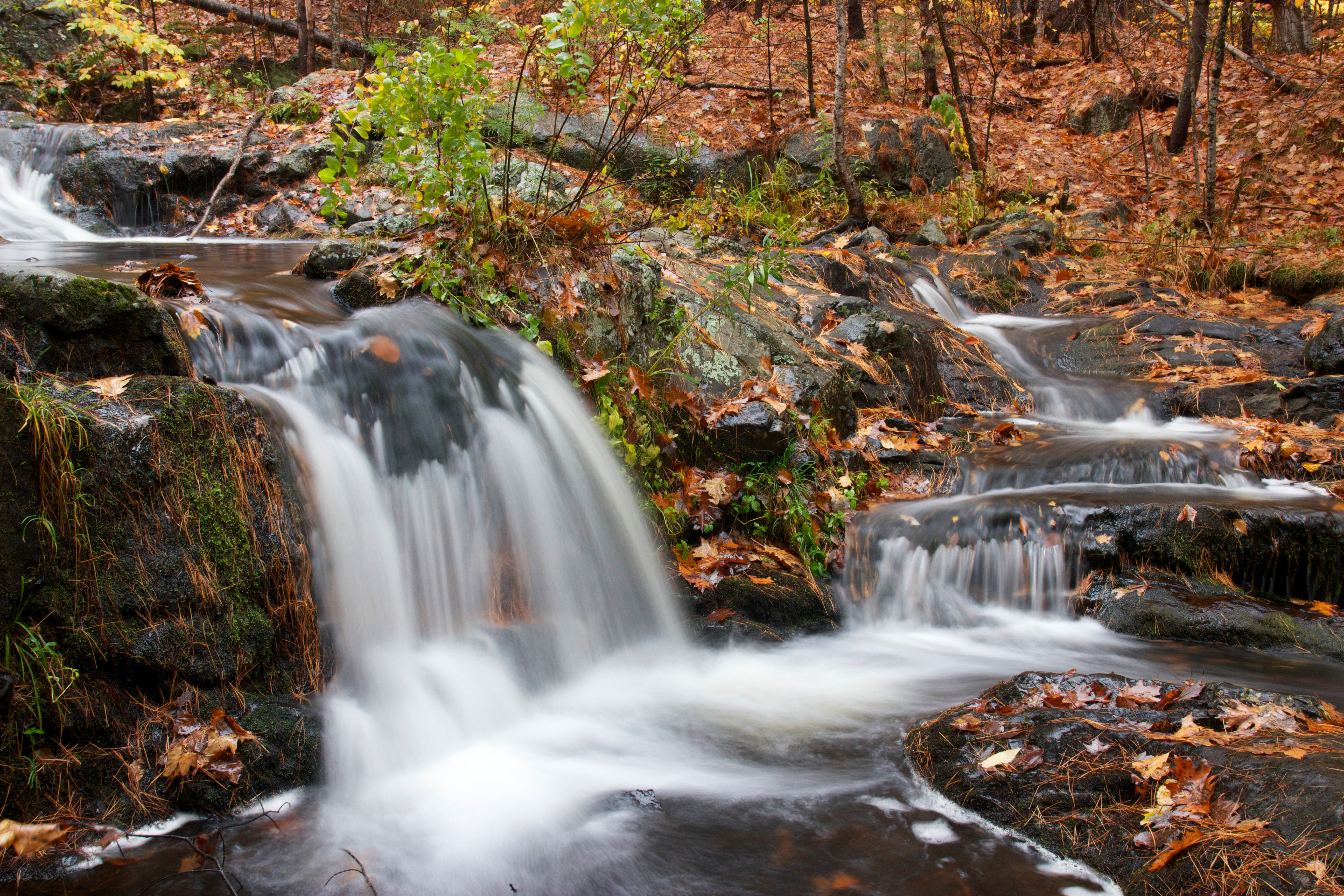 European-backed Small HPPs Damaging Environment in Balkans