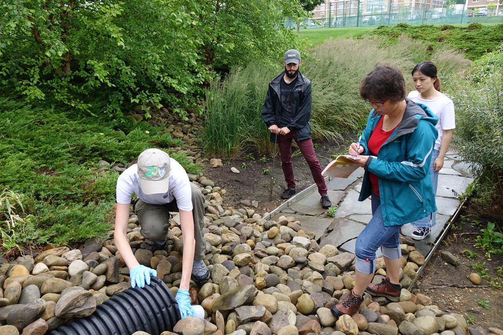Strategic Plan Seed Grant supports Green Stormwater Infrastructure Research