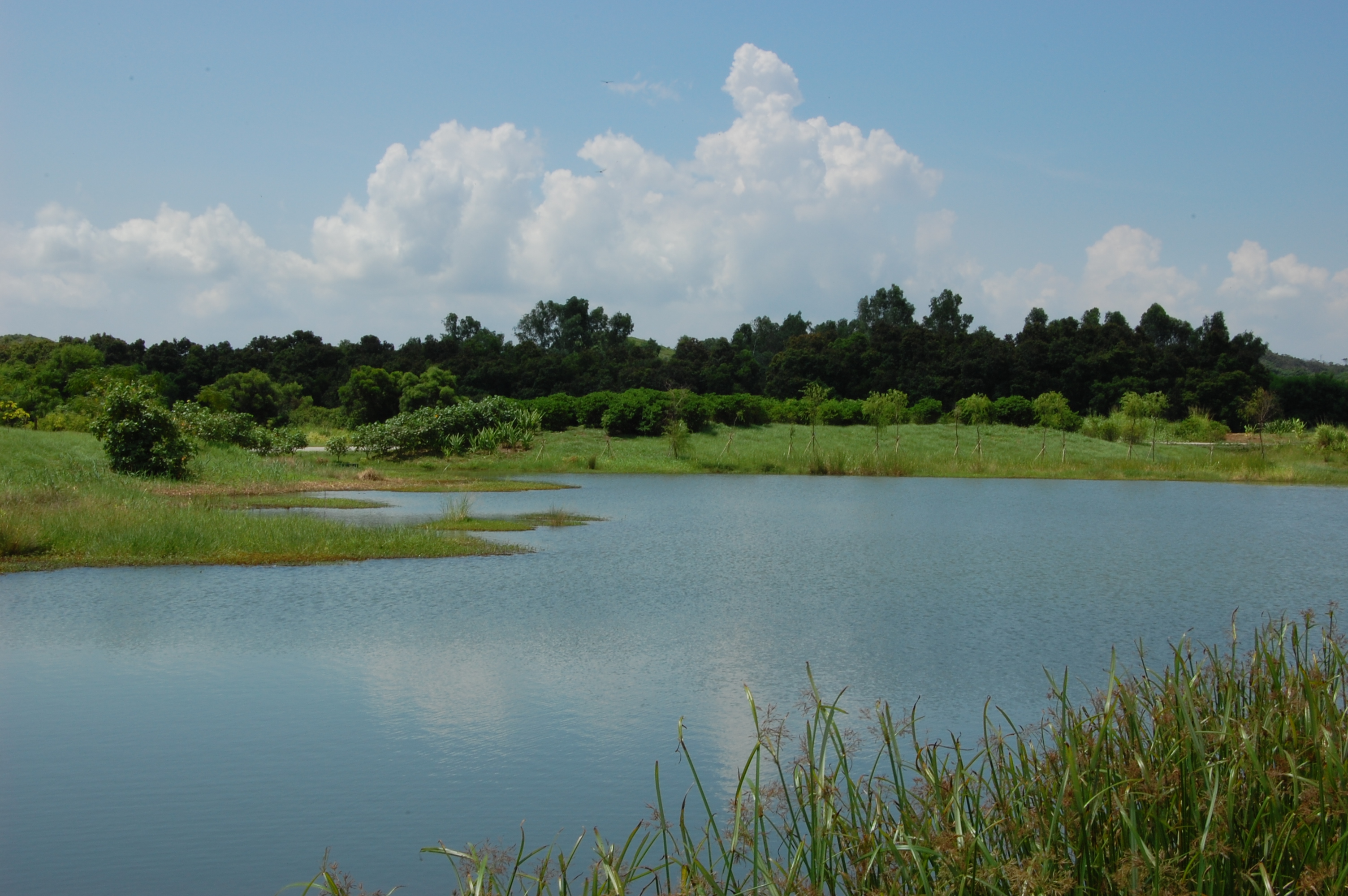 Effects of Humans on Water Quality