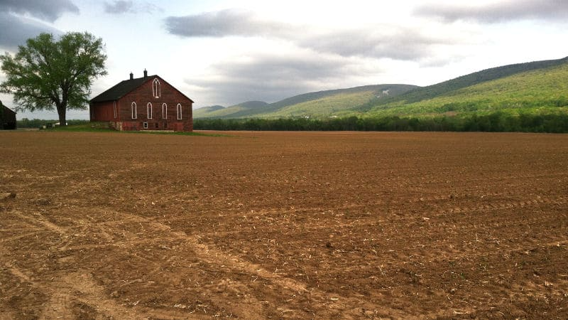 Organic No-Till: Searching for the Holy Grail in Agriculture