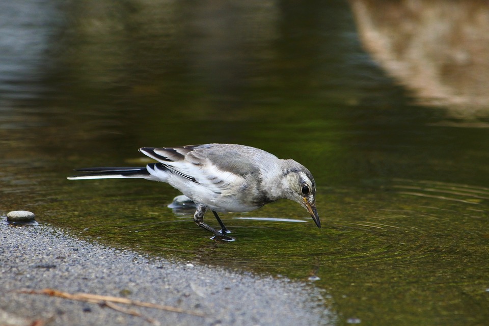 Water Security, Economic Growth & Sustainable Development