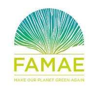 FAMAE Foundation