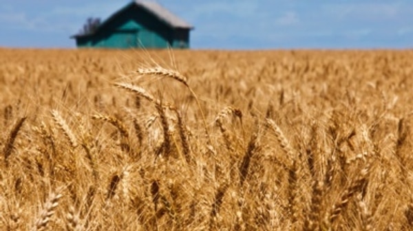 U.S. Crop Harvests Could Suffer with Climate Change