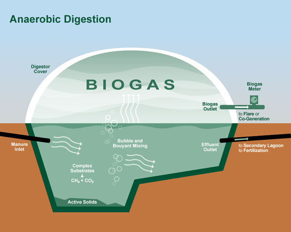 Biogas Production & Potential From U.S. Wastewater Treatment