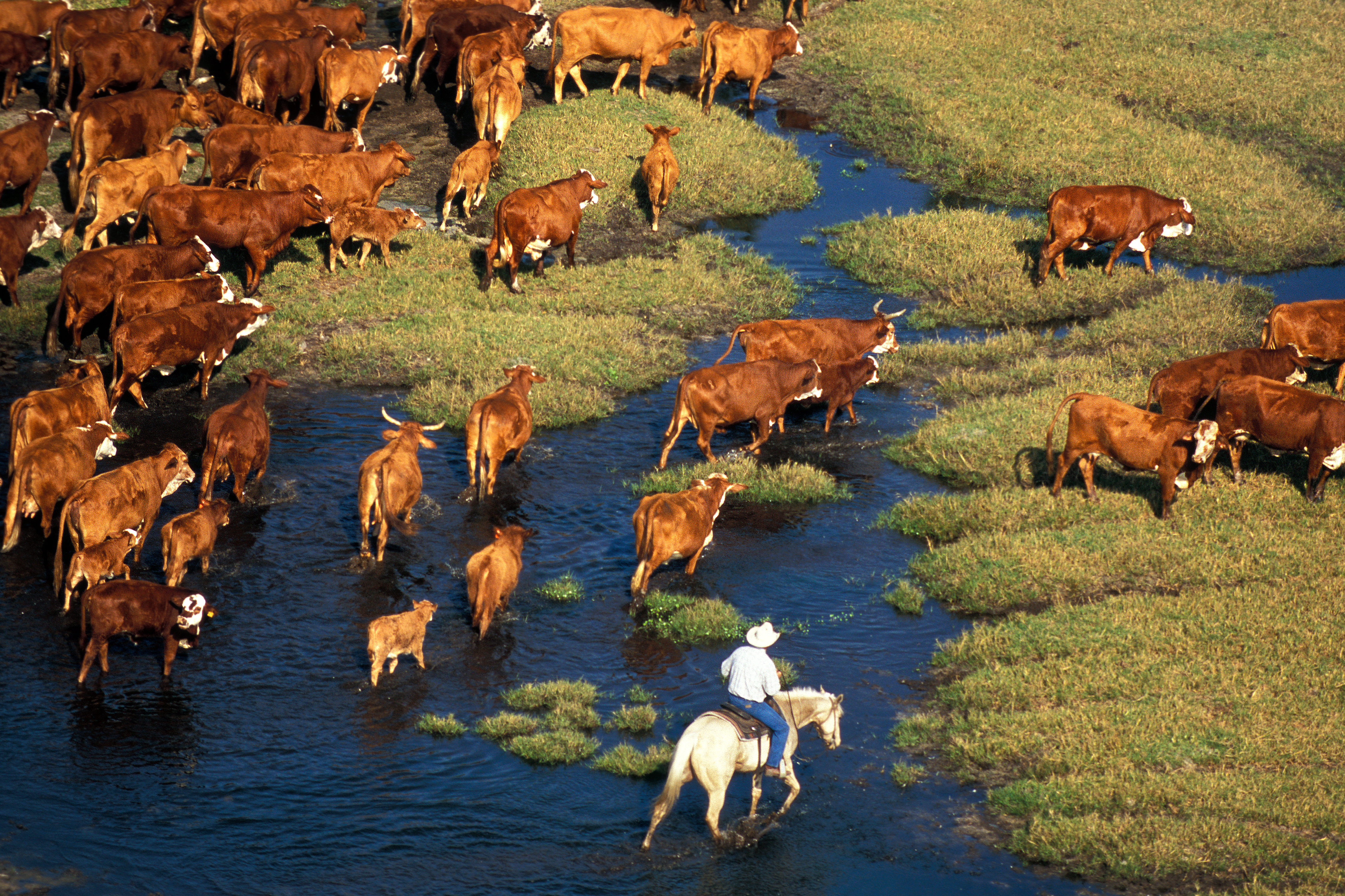 The Agriculture Module:  Innovation in the Water Space