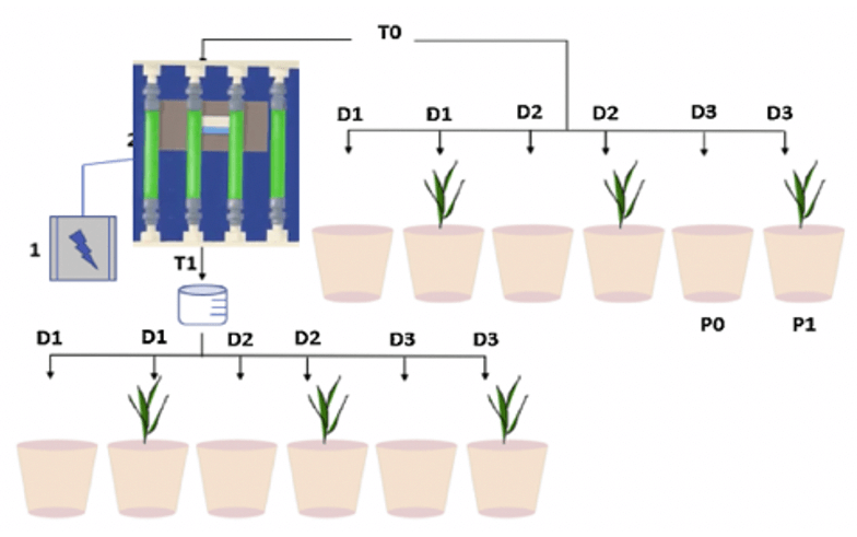Micro- and macrostructure changes of soil under AQUA4D® irrigation