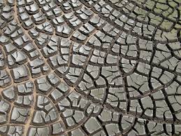 Low Temp Sludge Drying Technology - License Opportunity