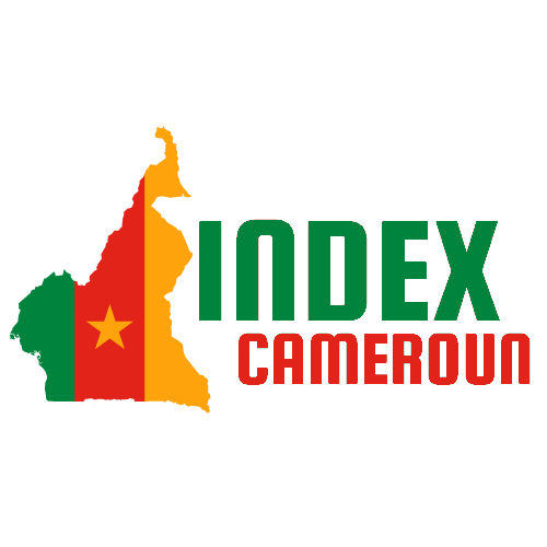 Index CAMEROUN, Employee at Index CAMEROUN