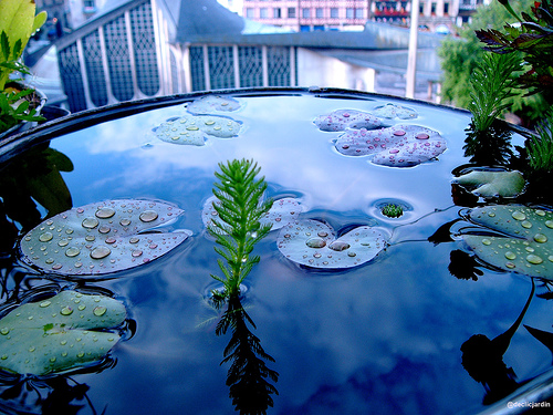 Urban Water Demand Forecasting: Review of Methods and Models