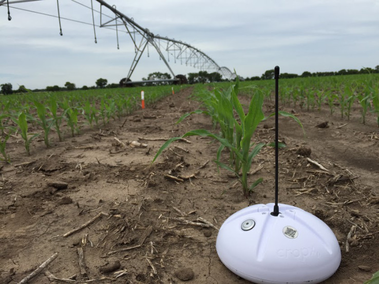 CropX Helps Growing More with Less Water