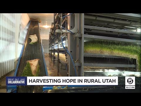 Can this technology be an answer to farmland water use in the West?