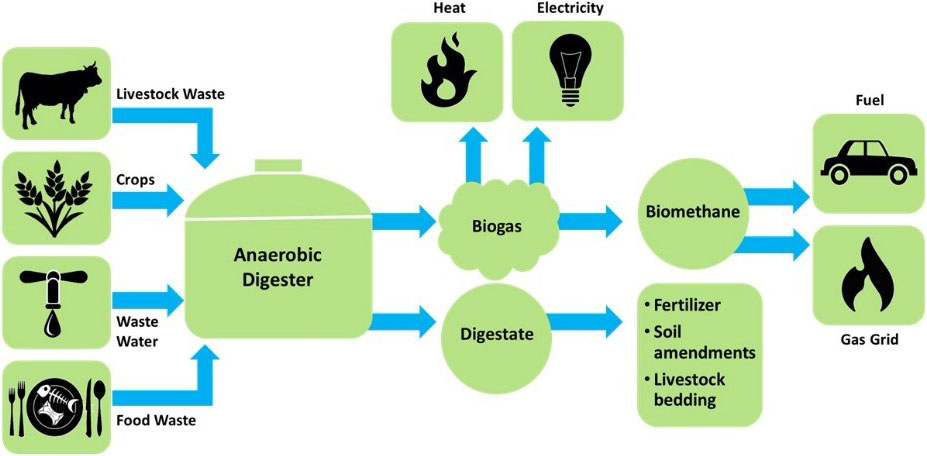 Everything you need to know about anaerobic digestion &nbsp; The technology is an ideal way for businesses to recycle their waste and cut their ...