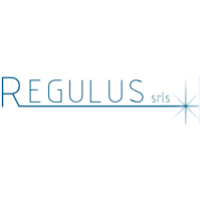 Regulus Srls