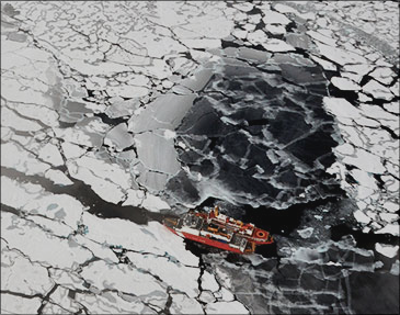 Can Oil-eating 'Bugs' Clean Up Arctic Oil Spills?