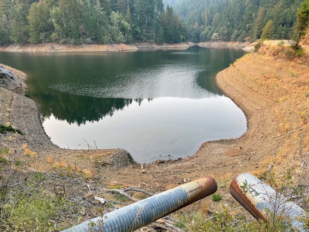 Marin Voice: Dangers of pulling more water from Central Valley are obvious