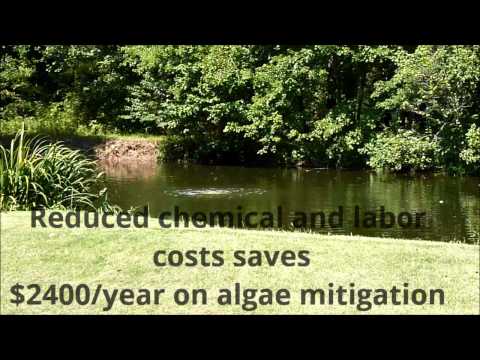 Startup Improves Pond Water Quality with Solar Energy