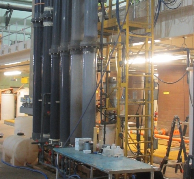 Binge-eating bacteria extract energy from sewage