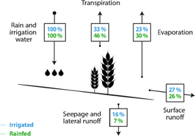 Integrated Crop Water Management Might Sustainably Halve the Global Food Gap