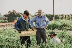 On to greener pastures: Four Valley Ventures alumni solving problems surrounding fertilizer.Is the grass really greener on the other side regard...