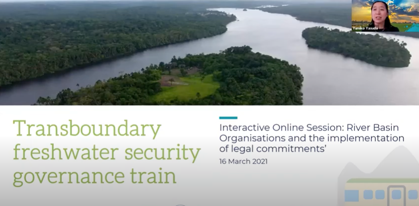 Interactive Online Session: River Basin Organisations and the Implementation of Treaty Commitments