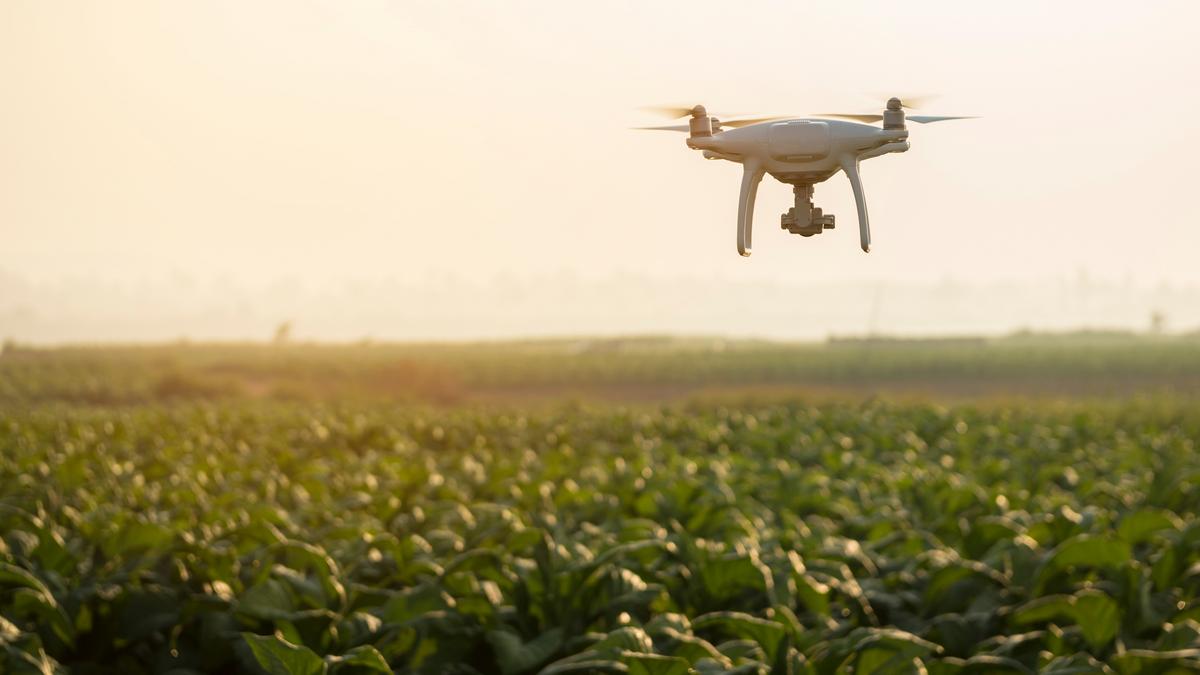 Could the Triangle be the home of AgTech? Why it should be - Triangle Business Journal