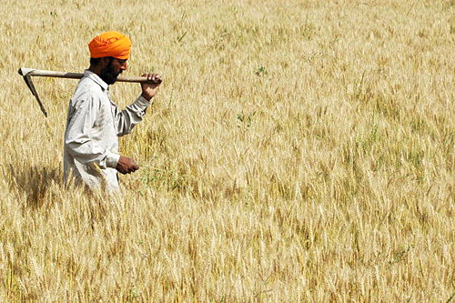 U.N. Pushes Climate-Smart Agriculture in India