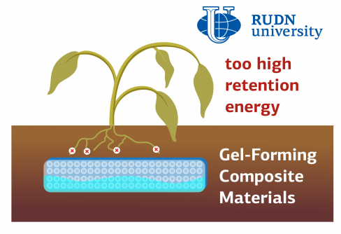 RUDN University agronomist checked whether hydrogels can save agriculture from water shortageRUDN University agronomists have studied the thermo...