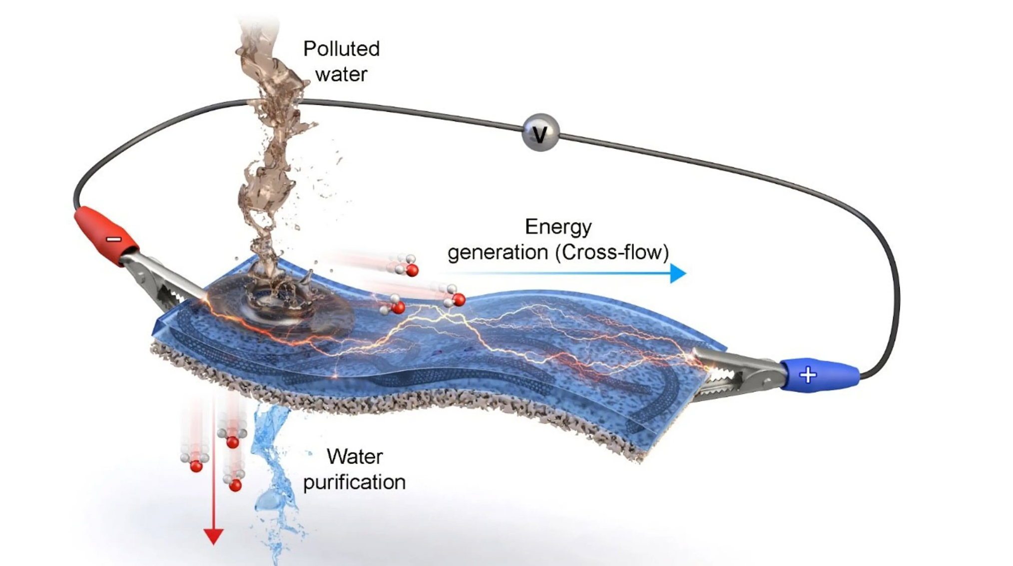 Water purification membrane generates electricity as it filters