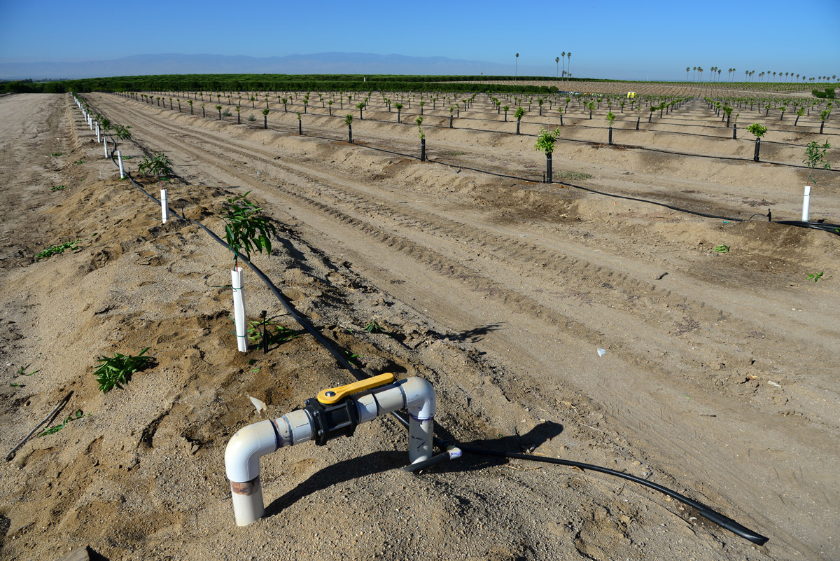 Groundwater Overuse Cuts San Joaquin Valley’s Water Storage Ability