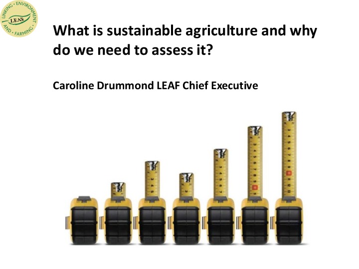 Sustainable Agriculture Assessment 2013 