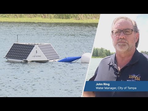 Tampa launches buoys aimed at reducing blue-green algae in Hillsborough River