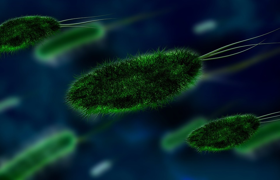 Large Fluctuations in the Amount of Bacteria in Your Industrial Water?