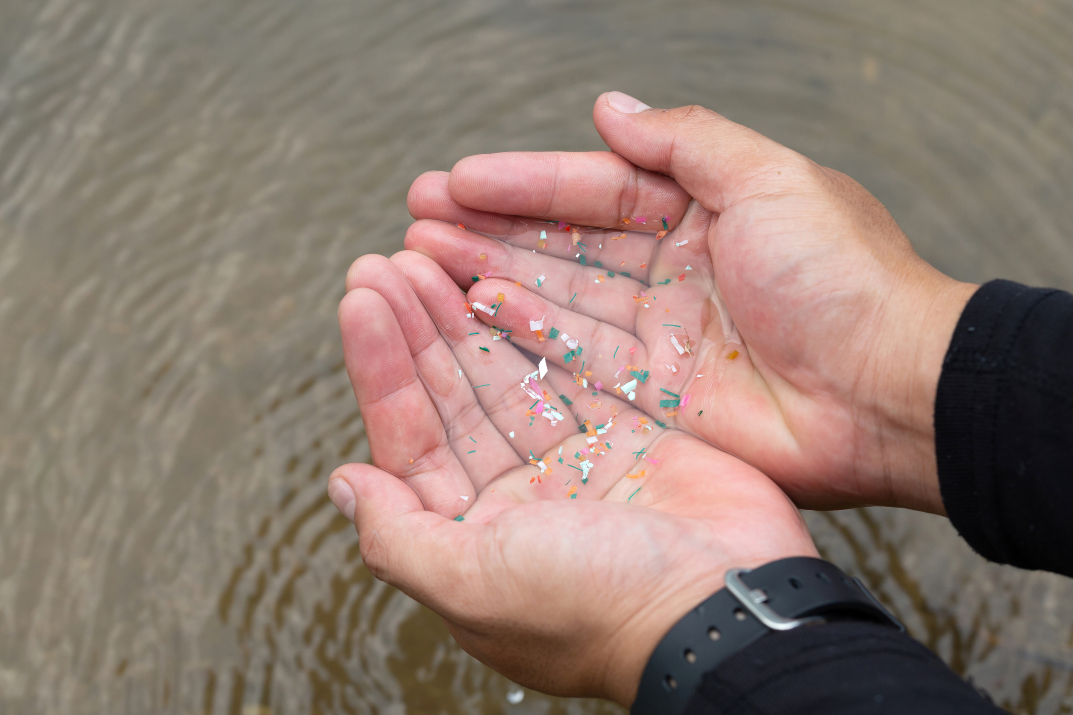 Scientists can now remove microplastics from our water with 94 per cent efficiency | Waterloo News